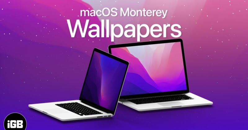 Hình nền macOS Monterey đẹp cập nhật đầy đủ và chi tiết